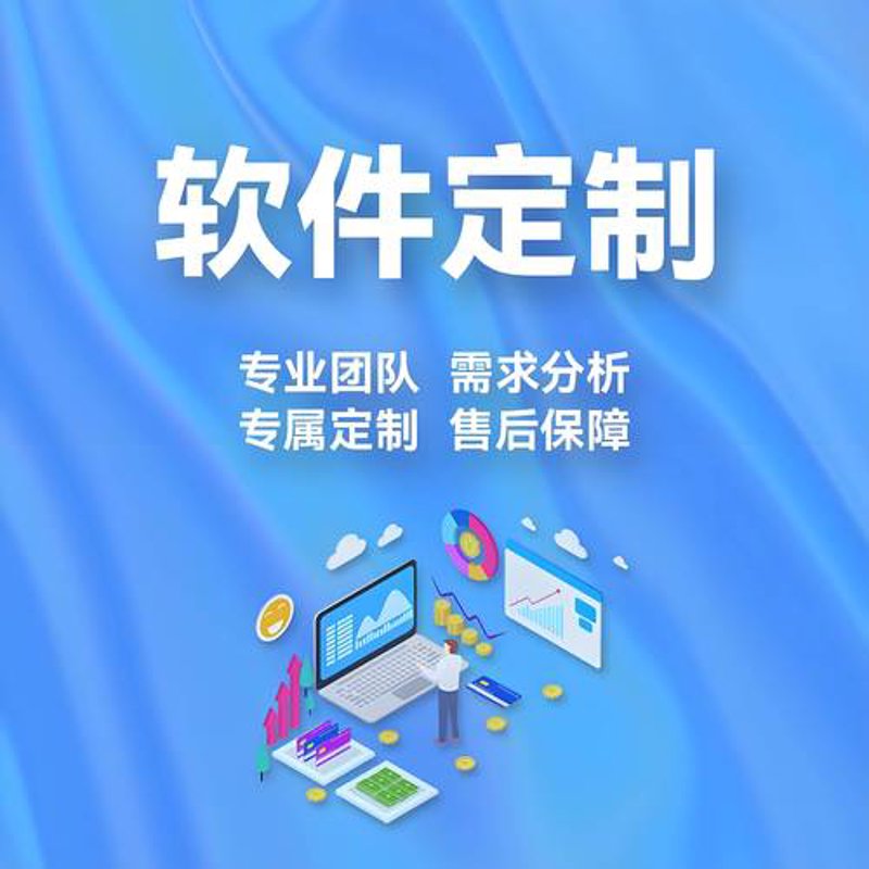 上海软件开发：让企业插上腾飞的翅膀